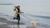 Best Tips On How To Safely Walk And Run With Your Dog!