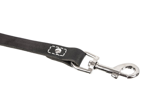 Leatherberg® 6ft Leather Dog Leash