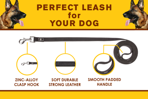 Leatherberg® 6ft Leather Dog Leash