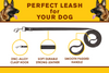 Image of Leatherberg® 6ft Leather Dog Leash