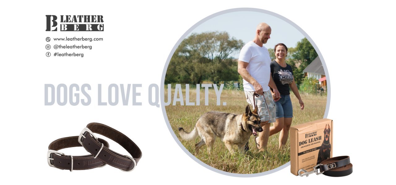 dogs love quality and leatherberg